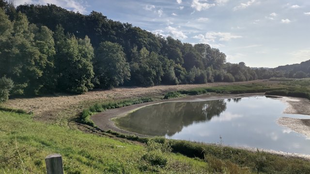 Diepentalsperre Mäharbeiten abgeschlossen Diepentalsperre Mäharbeiten abgeschlossen