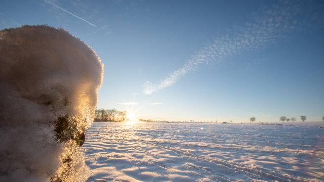 Schnee und Sonne auf einer Wiese an der Neye