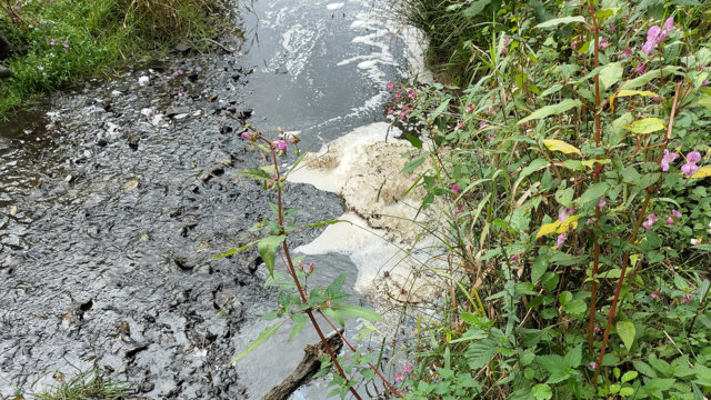 Gülle im Neyebach