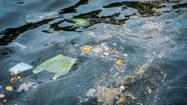 Plastik im Gewässer (Foto: Fotolia; Arndt Vladimir)