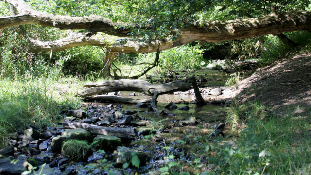 Murmelbach von der Quelle bis zur Mündung