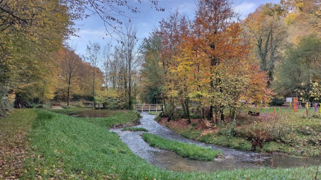 renaturierter_Murbach_Sinneswald renaturierter_Murbach_Sinneswald