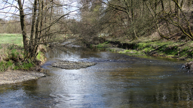 Wupper in Wipperfürth Wupper in Wipperfürth