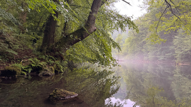 Wupper_Dahlerau Wupper_Dahlerau